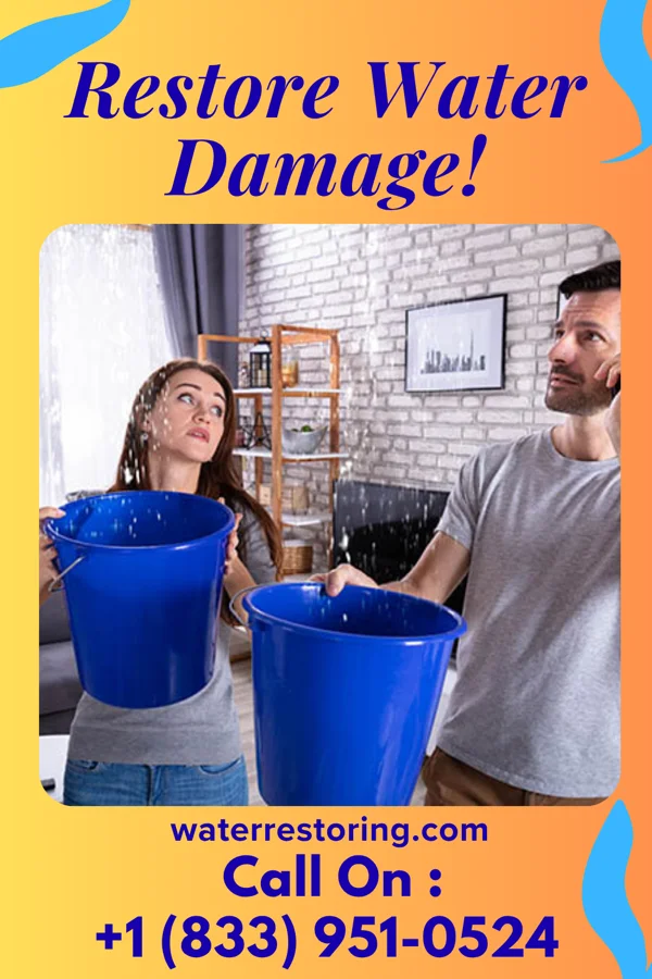 water restoration Apex Water Works Inc Cedarburg
